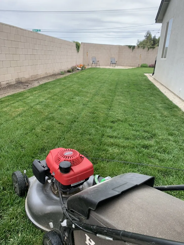 Custom lawn mowing service near you in Visalia, CA by Alvarez Lawn Care