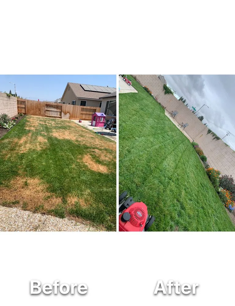 Top-rated yard maintenance with custom design in Visalia, CA by Alvarez Lawn Care