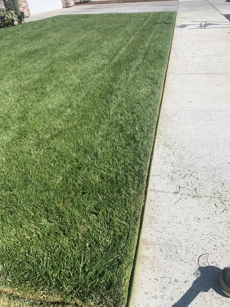 Affordable garden landscaping in Visalia, CA - Alvarez Lawn Care