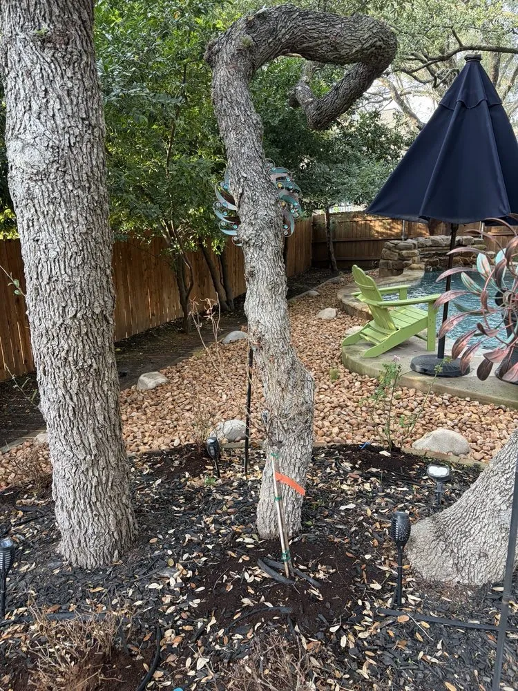 Local yard maintenance in Austin, TX - Alvarez Lawn Cares