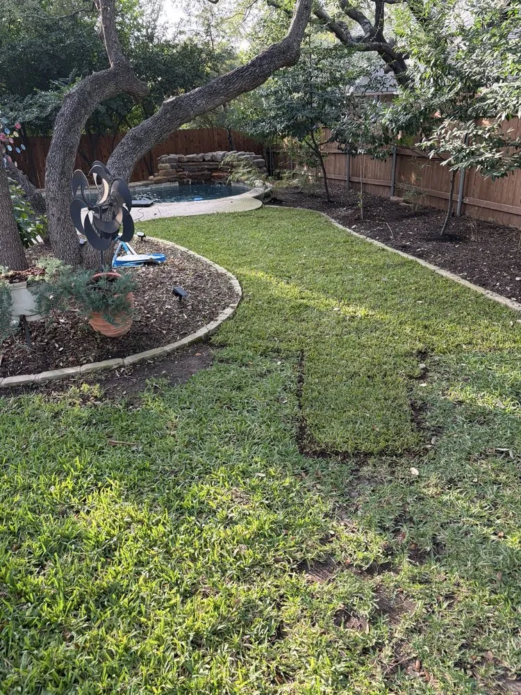 Top-rated landscaping services in Austin, TX - Alvarez Lawn Cares