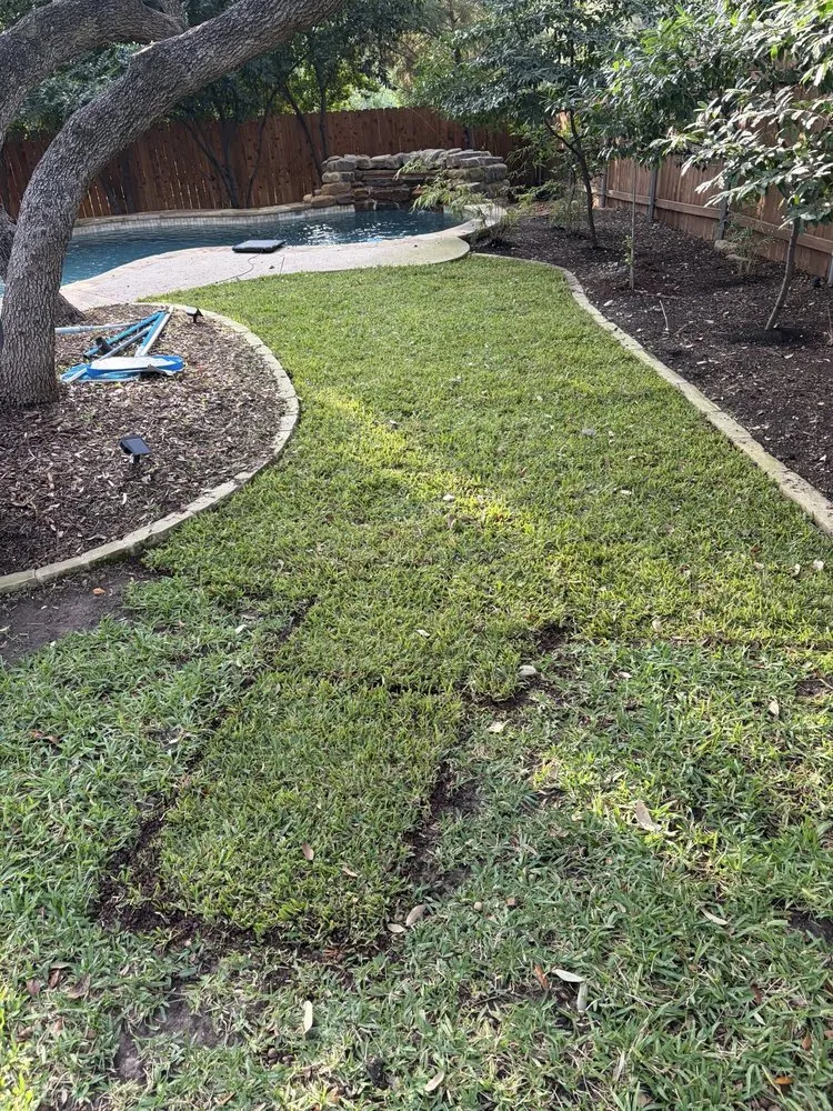 Trusted residential landscaping near you in Austin, TX by Alvarez Lawn Cares