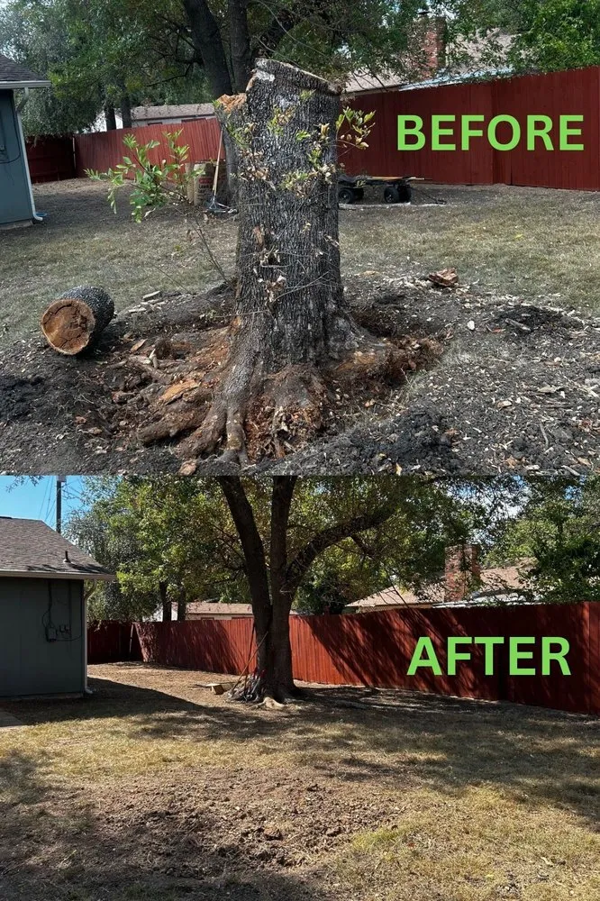 Local landscaping services experts serving Austin, TX - Alvarez Lawn Cares