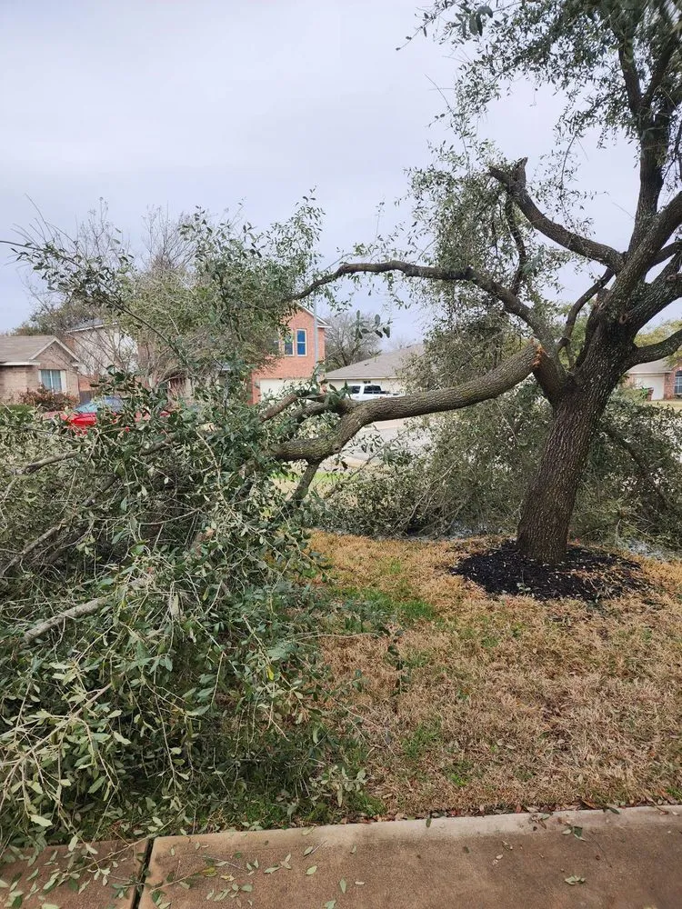 Reliable landscape design in Austin, TX - Alvarez Lawn Cares