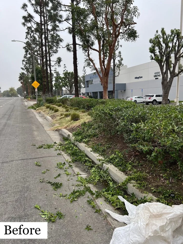 Local garden landscaping for outdoor upgrades across Ontario, CA - Alvarez Scenic Landscaping