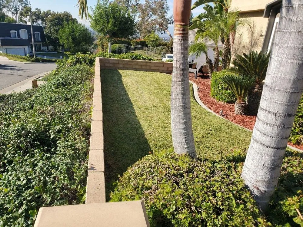 Trusted landscape installation in Ontario, CA - Alvarez Scenic Landscaping