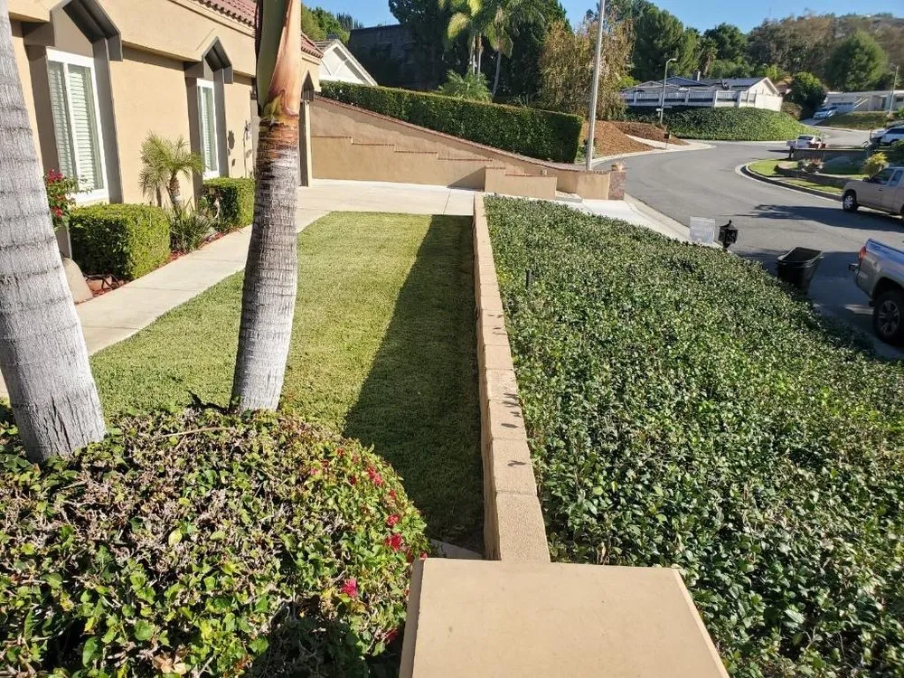 Top-rated landscape installation in Ontario, CA - Alvarez Scenic Landscaping