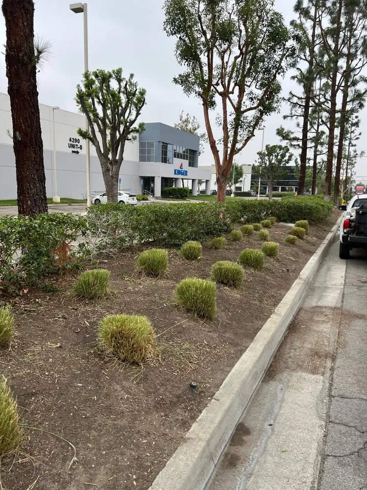 Local residential landscaping for homes in Ontario, CA by Alvarez Scenic Landscaping