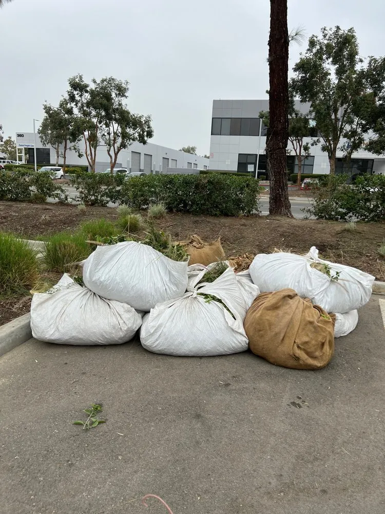 Expert lawn mowing service in Ontario, CA by Alvarez Scenic Landscaping