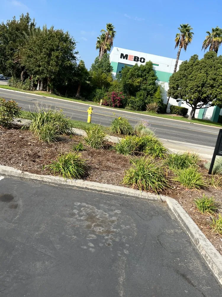 Reliable residential landscaping in Ontario, CA - Alvarez Scenic Landscaping