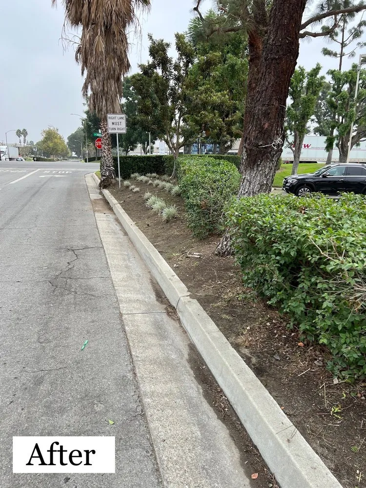 Local lawn mowing service for homes in Ontario, CA by Alvarez Scenic Landscaping