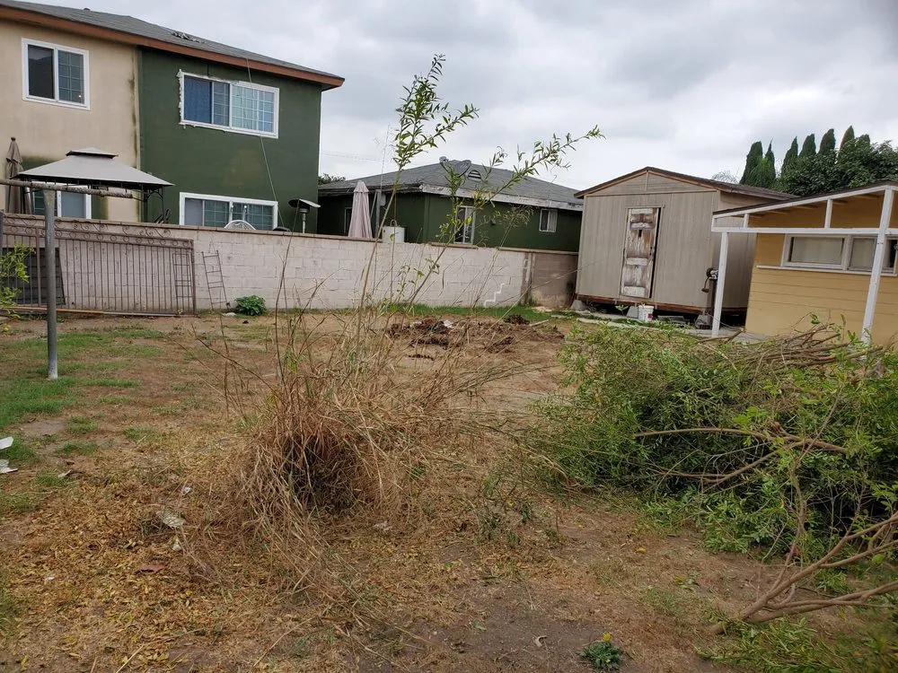 Top-rated outdoor landscaping with custom design in Los Angeles, CA by Alvarez Tree Care