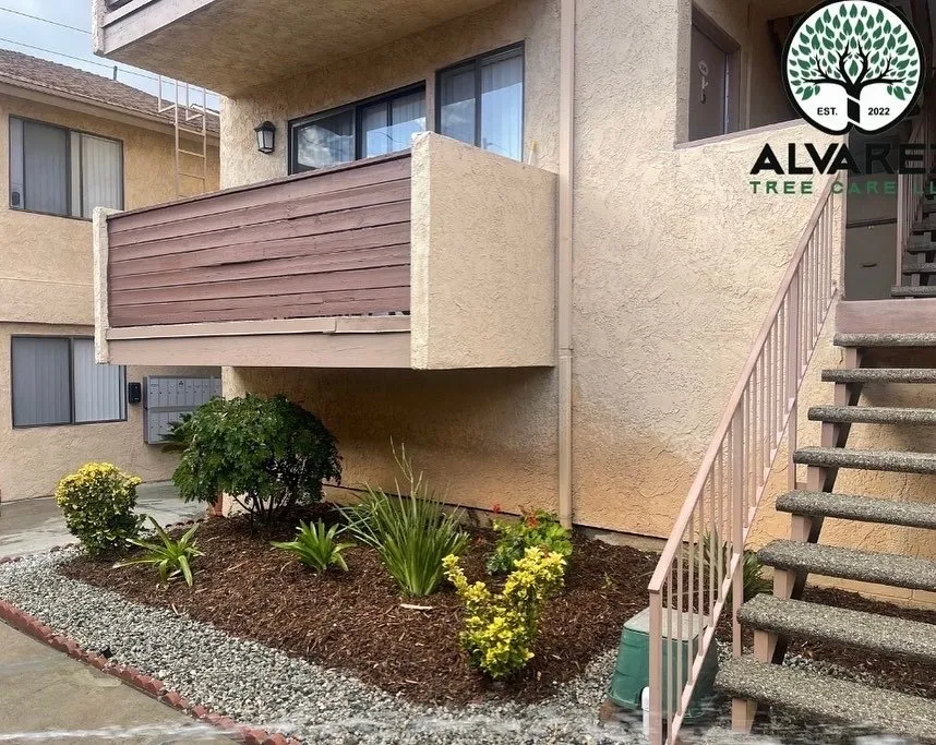 Custom lawn mowing service in Los Angeles, CA - Alvarez Tree Care