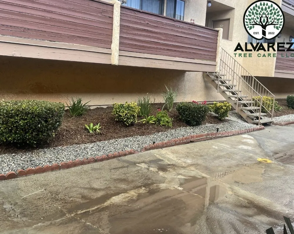 Reliable outdoor landscaping for homes in Los Angeles, CA by Alvarez Tree Care