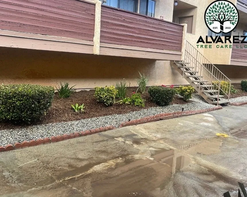 Professional landscape installation for year-round maintenance across Los Angeles, CA - Alvarez Tree Care