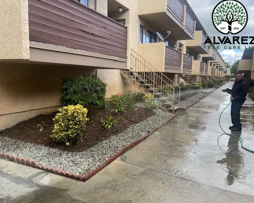 Local lawn care service in Los Angeles, CA - Alvarez Tree Care