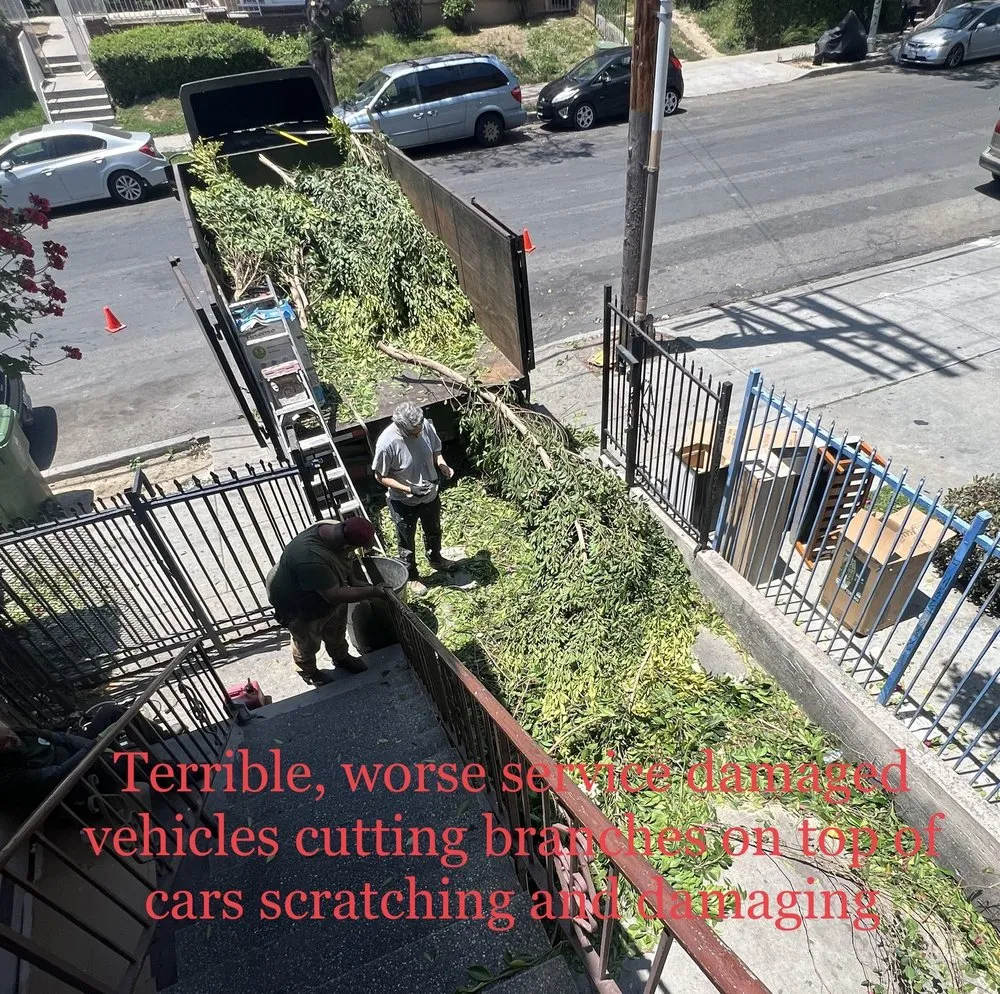 Reliable landscape installation for year-round maintenance across Los Angeles, CA - Alvarez Tree Care