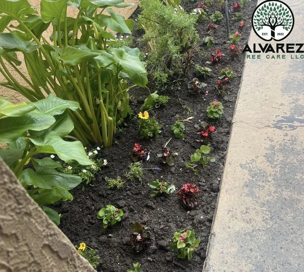 Top-rated landscape installation for outdoor upgrades across Los Angeles, CA - Alvarez Tree Care