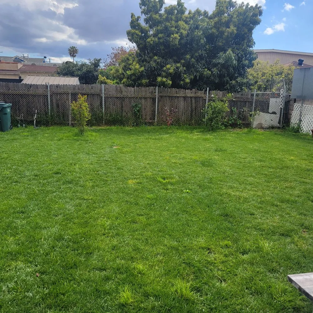 Local landscaping services in Los Angeles, CA - Alvarez Tree Care