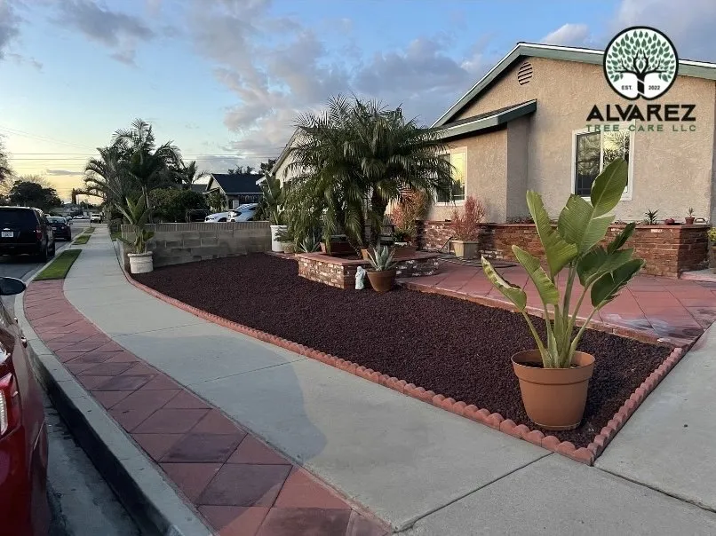 Trusted lawn care service in Los Angeles, CA - Alvarez Tree Care