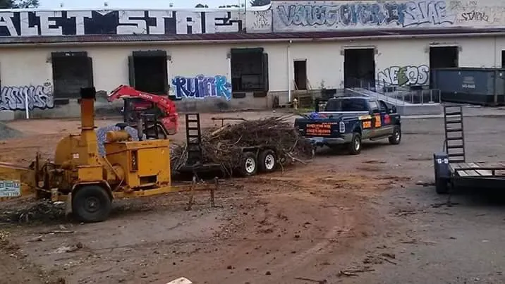 Expert lawn mowing service experts serving Asheville, NC - Alvarez Tree Service and Concrete Contractor