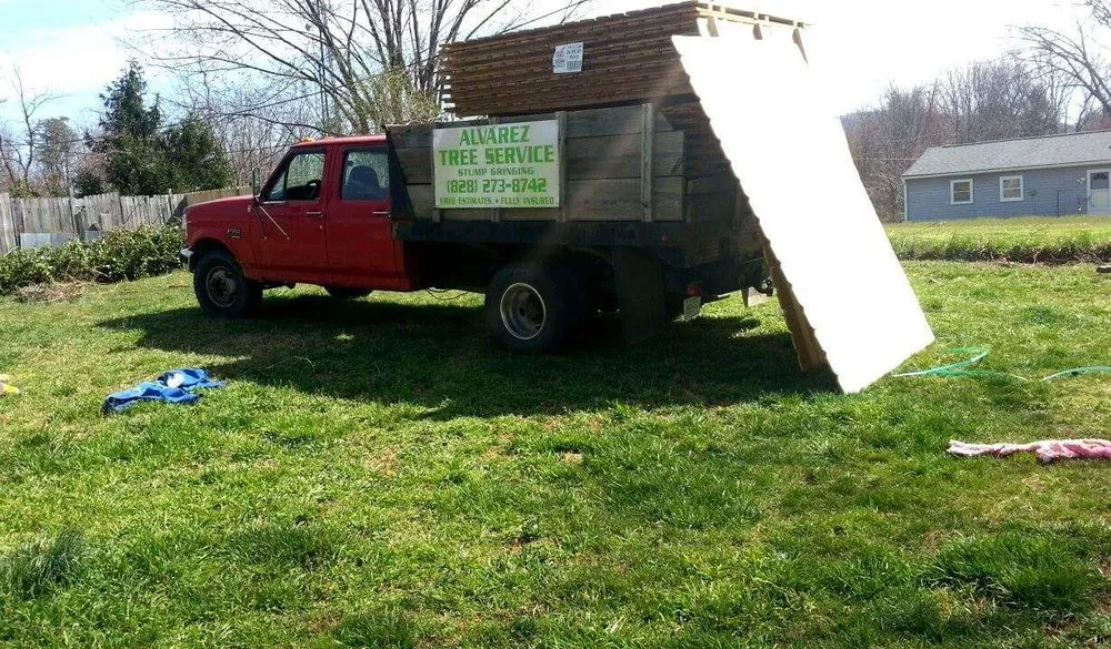 Top-rated landscape design for outdoor upgrades in Asheville, NC by Alvarez Tree Service and Concrete Contractor