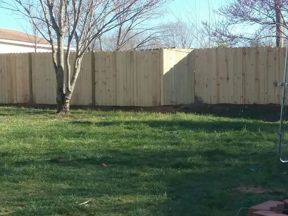 Professional yard maintenance in Asheville, NC by Alvarez Tree Service and Concrete Contractor