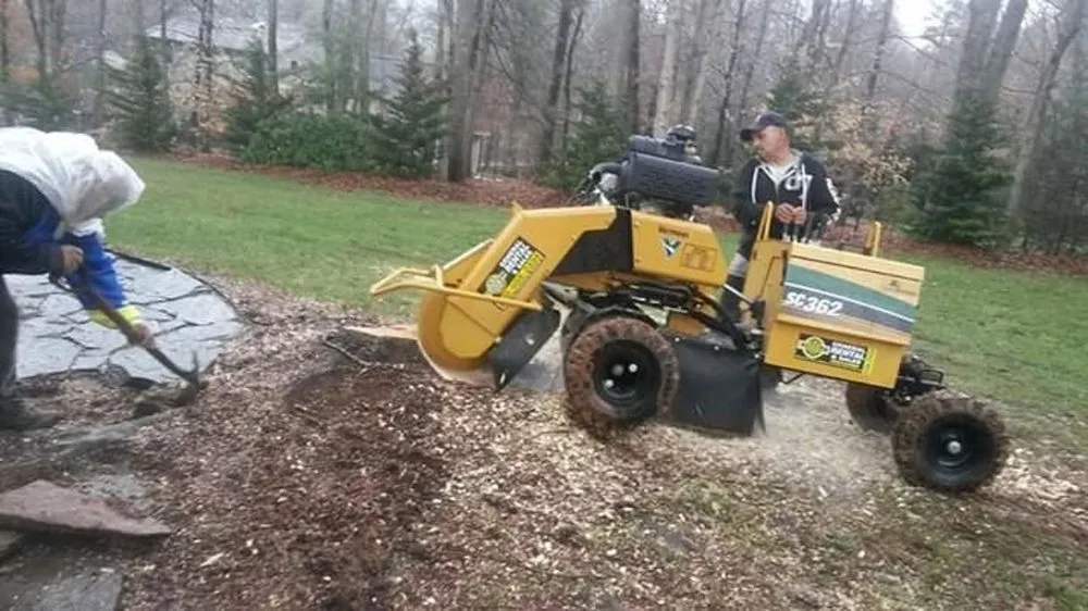 Trusted outdoor landscaping in Asheville, NC - Alvarez Tree Service and Concrete Contractor