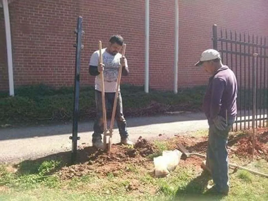 Expert landscape installation in Asheville, NC by Alvarez Tree Service and Concrete Contractor