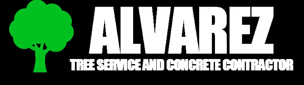Reliable lawn care service experts serving Asheville, NC - Alvarez Tree Service and Concrete Contractor