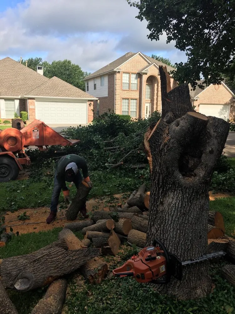 Reliable yard cleanup service near you in Arlington, TX by Alvarez Tree Service