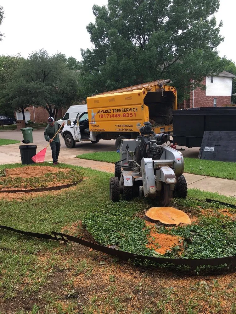 Custom outdoor landscaping in Arlington, TX by Alvarez Tree Service