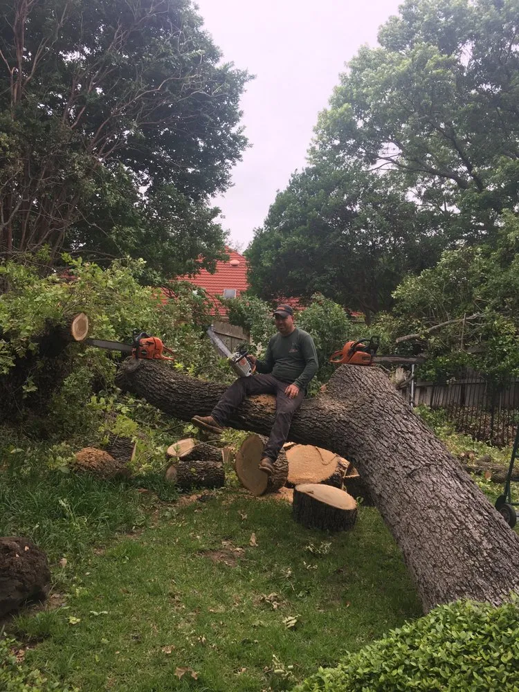 Affordable lawn care service in Arlington, TX by Alvarez Tree Service