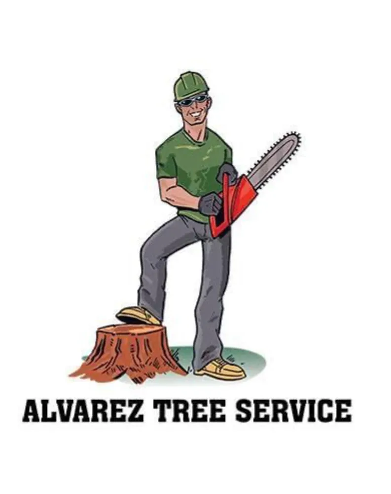 Custom landscaping services for homes across Arlington, TX - Alvarez Tree Service