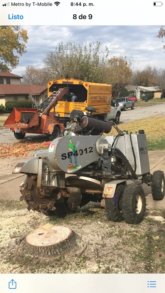 Custom garden landscaping for outdoor upgrades across Arlington, TX - Alvarez Tree Service