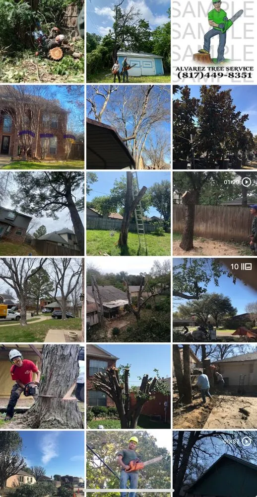 Affordable landscape design for residential properties across Arlington, TX - Alvarez Tree Service