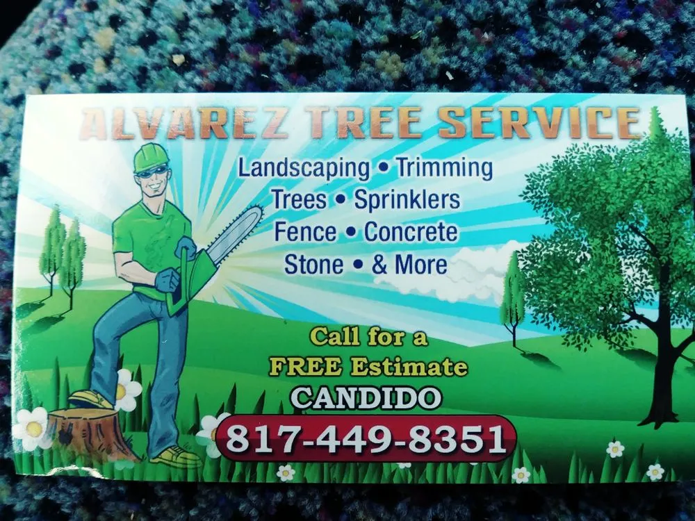 Local residential landscaping in Arlington, TX - Alvarez Tree Service