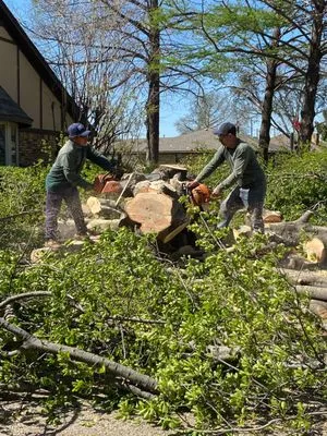 Alvarez Tree Service Logo