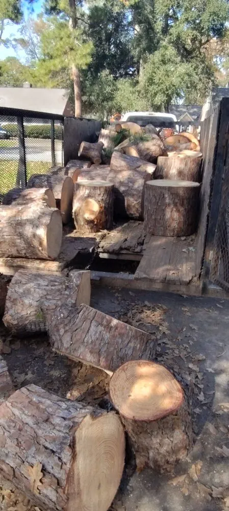 Expert landscaping services in Katy, TX - Alvarez Tree service Irrigation & Landscapes