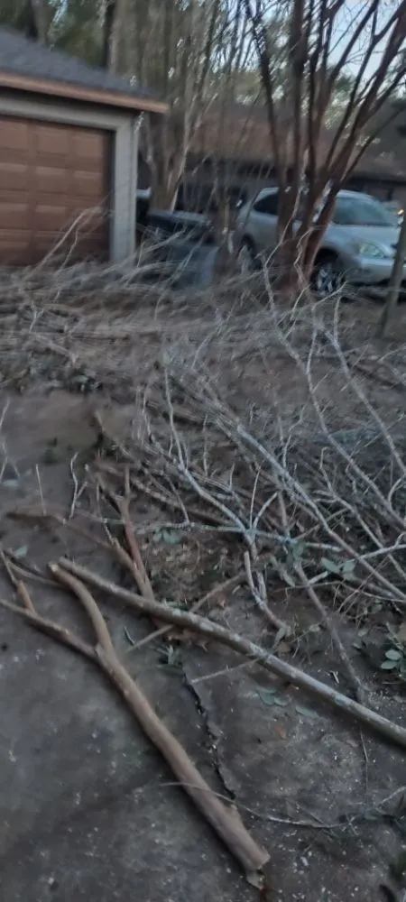 Affordable lawn care service in Katy, TX by Alvarez Tree service Irrigation & Landscapes