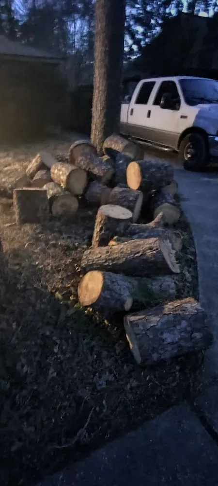 Expert landscaping services in Katy, TX - Alvarez Tree service Irrigation & Landscapes