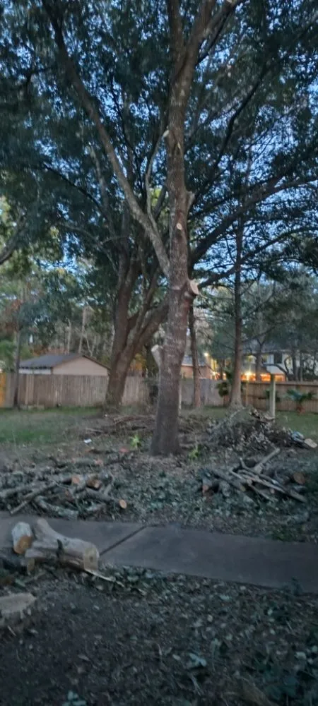 Affordable residential landscaping experts serving Katy, TX - Alvarez Tree service Irrigation & Landscapes