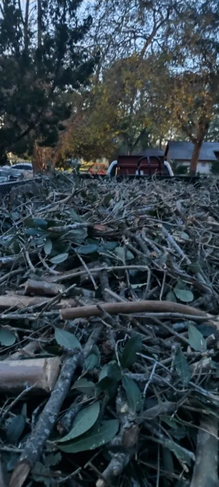 Trusted garden landscaping for homes in Katy, TX by Alvarez Tree service Irrigation & Landscapes