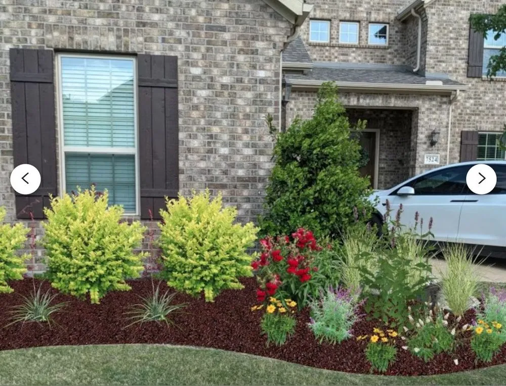 Local lawn care service experts serving Katy, TX - Alvarez Tree service Irrigation & Landscapes