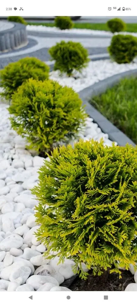 Professional landscaping services in Katy, TX by Alvarez Tree service Irrigation & Landscapes