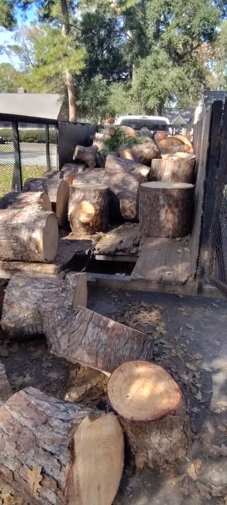 Local landscape design in Katy, TX - Alvarez Tree service Irrigation & Landscapes