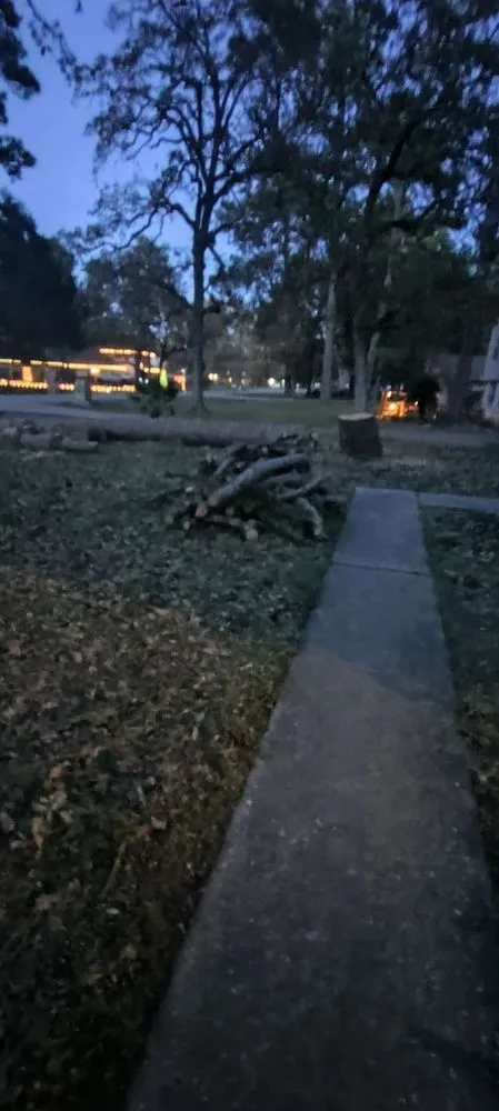 Expert garden landscaping near you across Katy, TX - Alvarez Tree service Irrigation & Landscapes