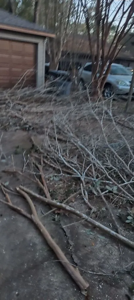 Reliable lawn mowing service for outdoor upgrades in Katy, TX by Alvarez Tree service Irrigation & Landscapes