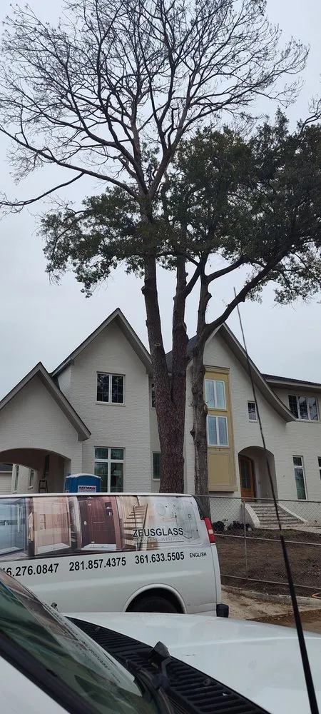 Reliable landscaping services experts serving Katy, TX - Alvarez Tree service Irrigation & Landscapes