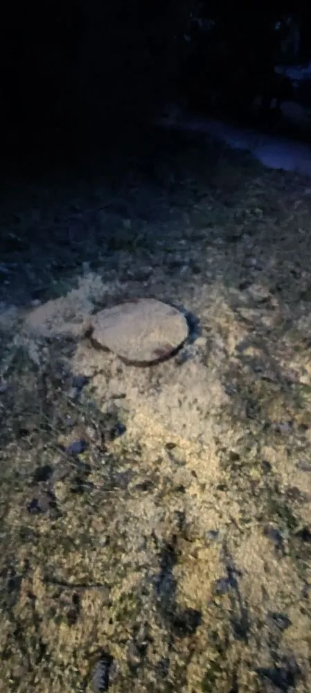 Local yard maintenance in Katy, TX by Alvarez Tree service Irrigation & Landscapes